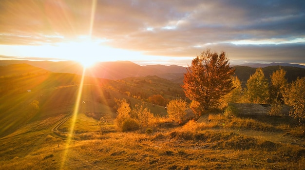 Ucrânia o nascer do sol brilha no nevoeiro colorido dos cárpatos se espalha pelos vales e planícies das pradarias douradas da cordilheira são muito deslumbrantes