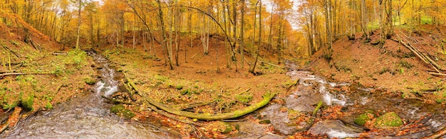 Ucrania Un suave arroyo cae en cascada alrededor de rocas cubiertas de musgo rodeadas de árboles adornados con follaje otoñal en el Parque Nacional de los Cárpatos Shypit Cárpatos