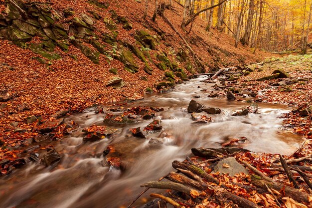 Ucrânia Um riacho suave em cascata em torno de rochas cobertas de musgo cercado por árvores adornadas com folhagem de outono no Parque Nacional dos Cárpatos Shypit Cárpatos