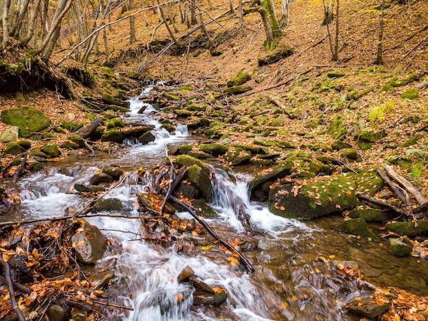 Ucrânia Um riacho suave em cascata em torno de rochas cobertas de musgo cercado por árvores adornadas com folhagem de outono no Parque Nacional dos Cárpatos Shypit Cárpatos