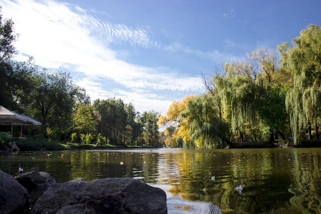 Ucrânia Zaporozhye Oak Guy Park 2022 City Park no outono