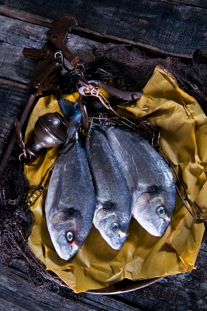 Foto Über dorade fischschuppen