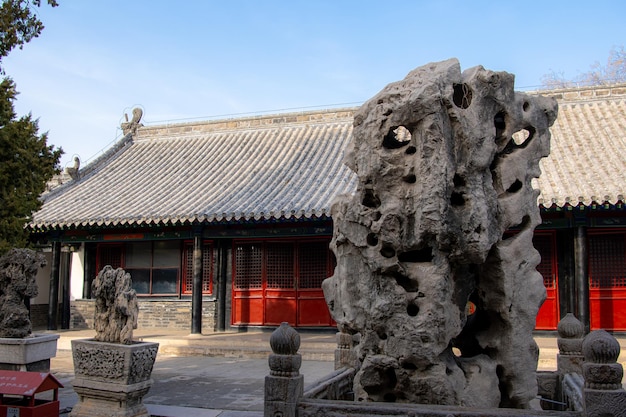 Überreste einer alten Zypresse und des einzigartigen Konfuzius-Tempels mit Holzmaserung in der Stadt Qufu in der Provinz Shandong in China