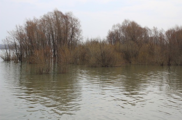 Überschwemmung des Flusses und Überschwemmung des Ufers mit Buschüberschwemmung