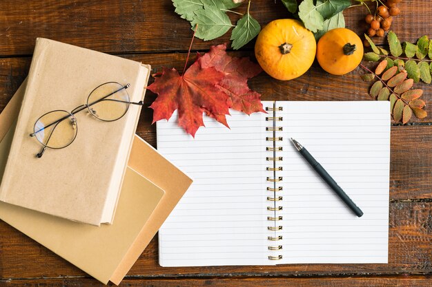 Übersicht über offenes heft mit leeren seiten und stift