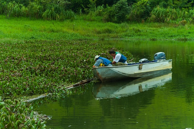 Überwachung der Mangroven im Lake Ita Santa Catarina