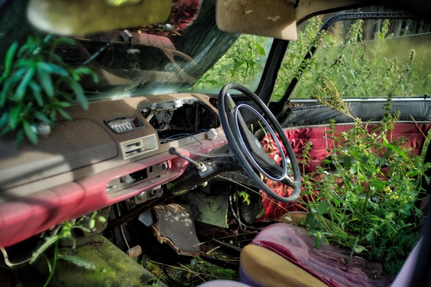 Foto Überwucherte pflanzen in einem verlassenen auto.