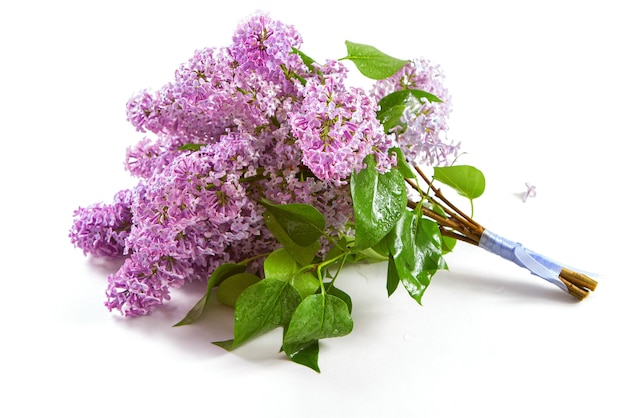 Üppige Zweige blühender lila Flieder, die in einem Blumenstrauß angeordnet sind