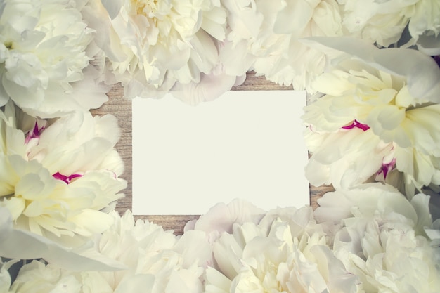 Üppiger Rahmen von weißen Pfingstrosenblumen mit Anmerkung für Glückwünsche. Blumenpostkarte