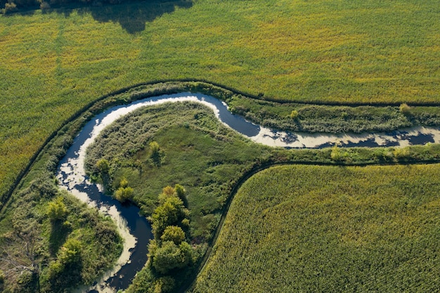 Ufer eines sumpfigen Flusses, Blick von oben