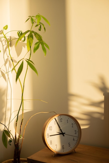 Uhr und Pflanze im Schlafzimmer