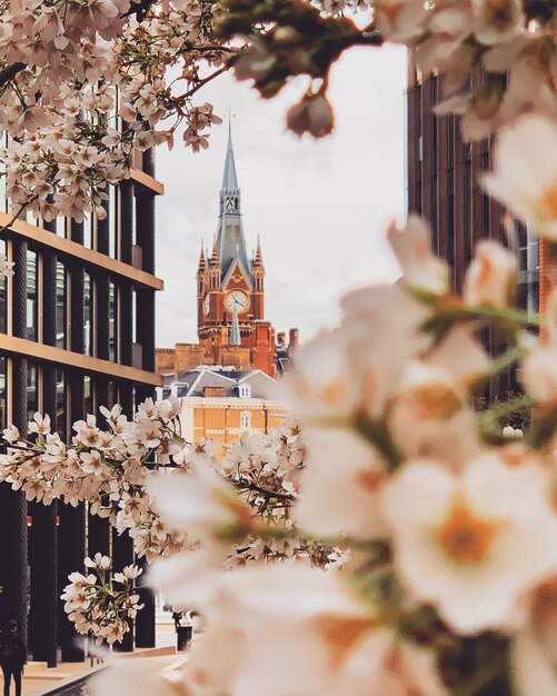 Foto uhrturm aus blumen in der stadt