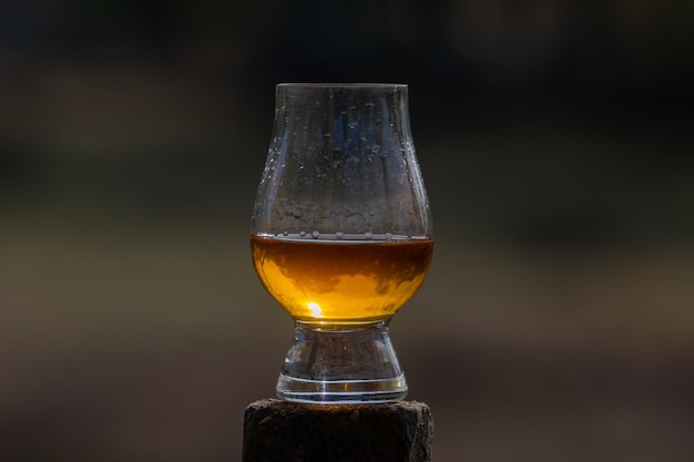 Uísque escocês single malt tradicional no copo Glencairn em foco seletivo