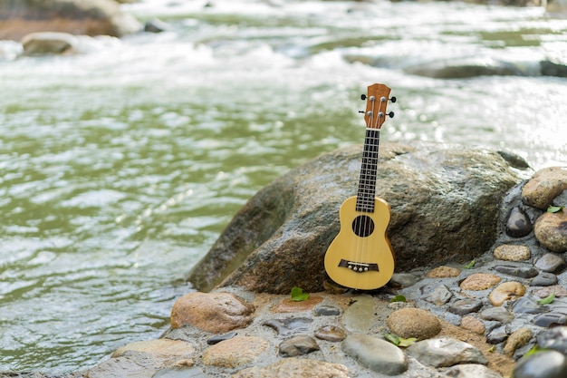 Ukelele en la roca cerca de cascada en el bosque