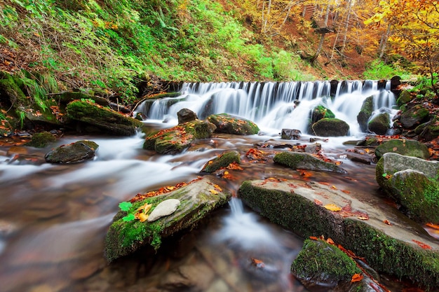 Ukpaine Cascada entre las rocas cubiertas de musgo Hermoso paisaje rápidos en un río de montaña en el bosque de otoño en las montañas de los Cárpatos al atardecer Arroyo de plata en el Parque Nacional Shypit Carpat Pilipets