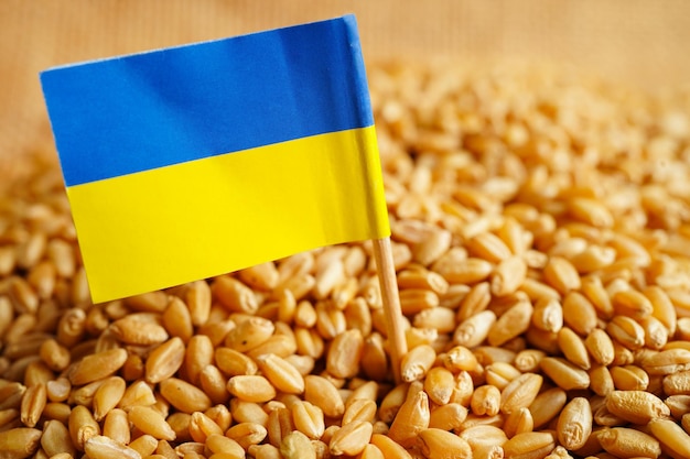 Ukraine auf Getreidehandel Export- und Wirtschaftskonzept