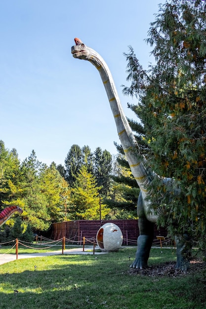 Ukraine, Chmelnizki, Oktober 2021. Dinosauriermodell im Park. Riesiger Brachiosaurus bei einer Ausstellung im Park an einem sonnigen Sommertag