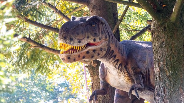 Ukraine, Chmelnizki, Oktober 2021. Dinosauriermodell im Park. Riesiger Tyrannosaurus bei einer Ausstellung im Park an einem sonnigen Sommertag, der Kopf eines Dinosauriers