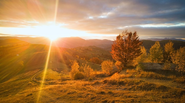 Ukraine Sonnenaufgang leuchtet in den Karpaten, farbiger Nebel breitet sich über den Tälern und Niederungen der Bergkette aus, goldene Prärien sind sehr blendend schön