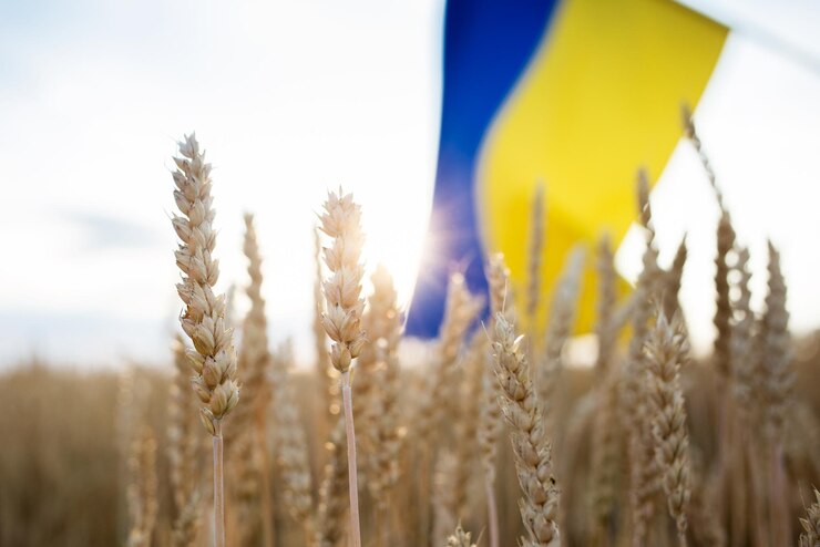 Foto ukrainische gelbblaue flagge und stacheln auf einem weizenfeld