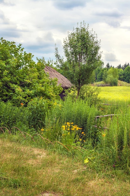 Ukrainische Hütte, die abfallendes Feld in der Nähe mit Stroh bedeckt