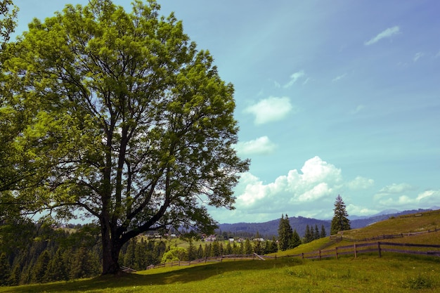 Ukrainische Landschaft