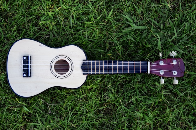 Ukulele auf Natur Hintergrund