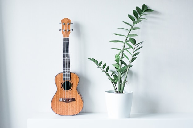 Ukulele com uma flor em uma panela.