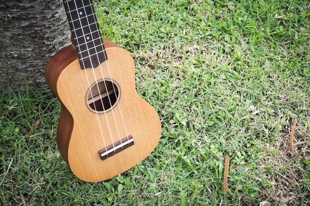 Ukulele no campo de grama. Instrumento de música acústica.