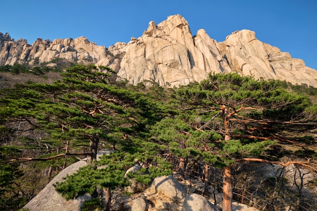 Ulsanbawi rock no Parque Nacional de Seoraksan, Coréia do Sul