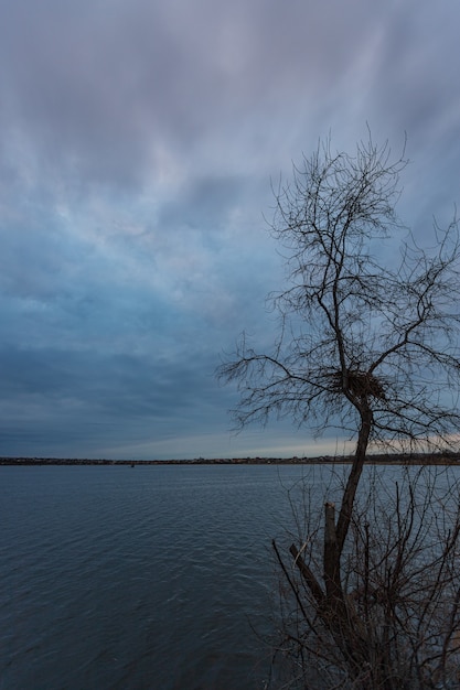 A última hora de la tarde en el lago nublado y nublado con ramas de árboles en primer plano