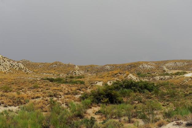 Últimas estepes nos campos de granada