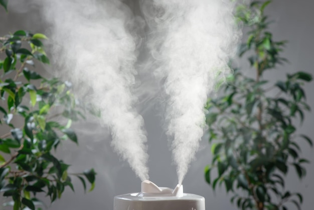 Foto ultraschall-luftbefeuchter im haus humidification vapor