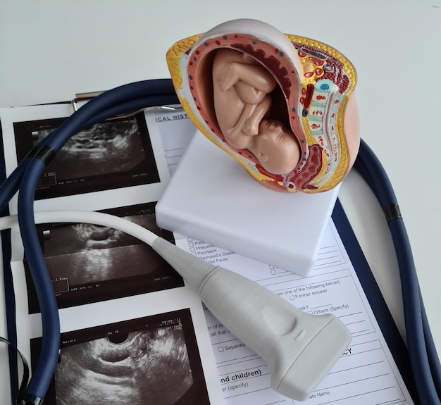Ultrasonido del feto del bebé y primer plano del escáner de rayos X