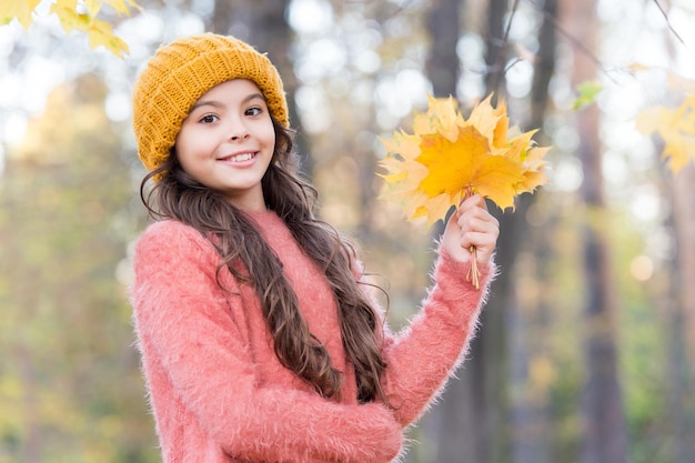 Um adolescente sorridente de chapéu e suéter de malha segura folhas amarelas de maple na floresta do parque na temporada de outono com clima quente no outono