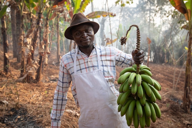 Um agricultor africano com um cacho de bananas-da-terra acaba de colher de sua plantação