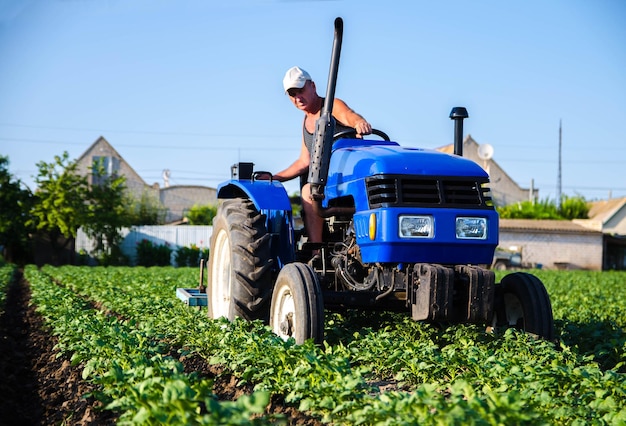 Um agricultor com um tractor trabalha no campo agroindústria e agronegócio trabalho de campo cultivo máquinas agrícolas cuidados com as culturas melhoria da qualidade do solo arado e soltura do solo