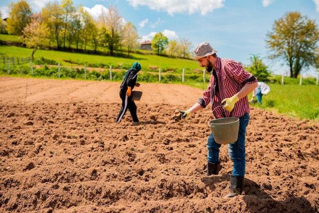 Um agricultor cultiva o solo Cultivo manual e cuidado das colheitas