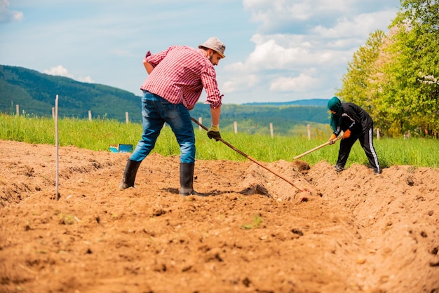 Um agricultor cultiva o solo cultivo manual e cuidado das colheitas