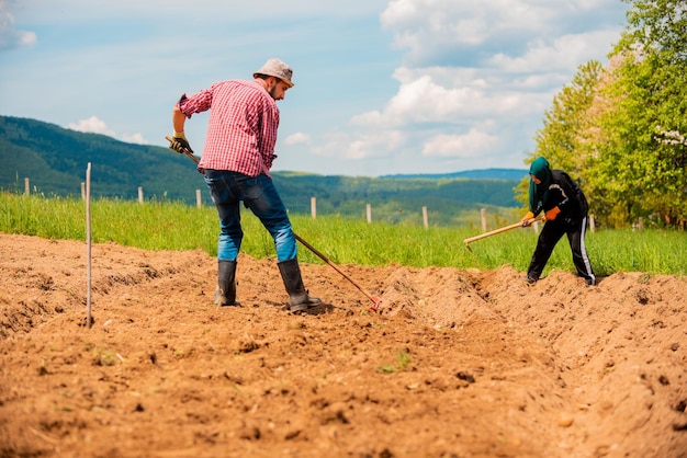 Um agricultor cultiva o solo Cultivo manual e cuidado das colheitas