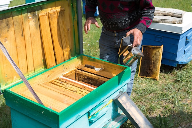 Um agricultor em um apiário de abelhas segura quadros com favos de cera Preparação planejada para a coleta de mel