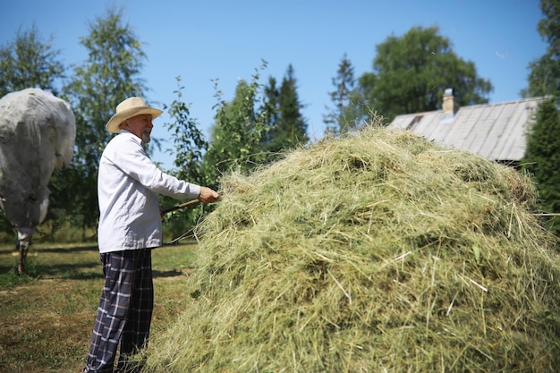 Um agricultor idoso limpa o feno cortado Um homem grisalho corta a grama no prado