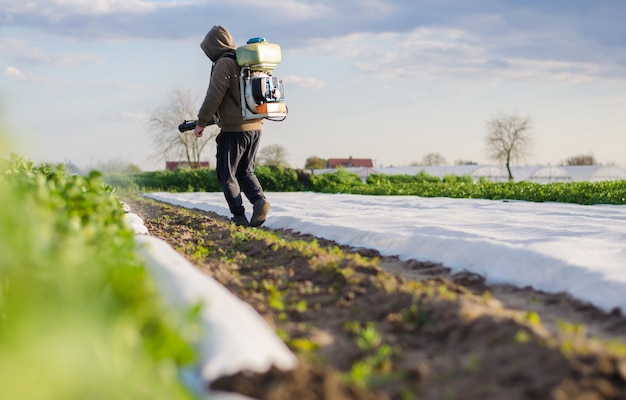 Um agricultor processa um campo de batatas de um pulverizador de névoa protegendo as colheitas de pragas