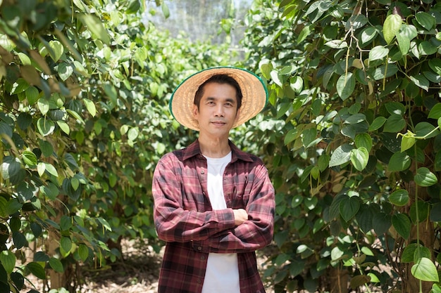 Um agricultor tailandês vestindo uma camisa vermelha posando em uma plantação de pimenta