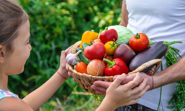 Um agricultor tem vegetais nas mãos e uma criança. Foco seletivo. Comida.