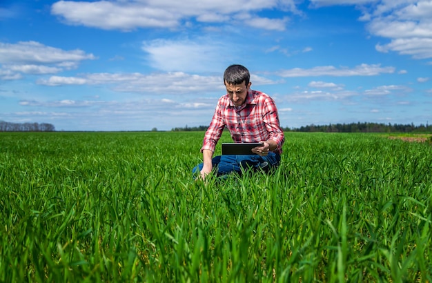 Um agricultor verifica como o trigo cresce no campo foco seletivo