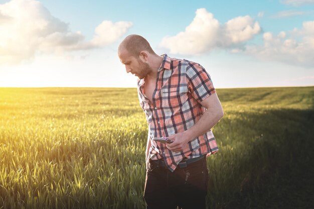 Um agrônomo masculino examina as colheitas de trigo em um campo agrícola. Um agricultor em um campo de trigo faz anotações em um caderno ao pôr do sol. Avaliação do rendimento da cultura de grãos