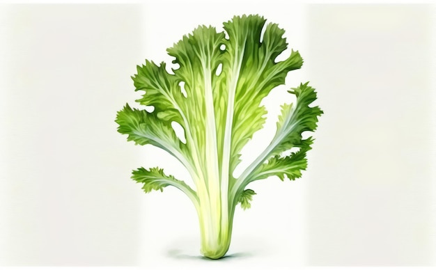 um aipo desenhado em fundo branco ilustrações de vegetais verdes em aquarela geradas por ai