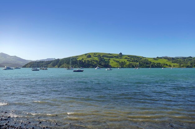 Um Akaroa in Neuseeland herum