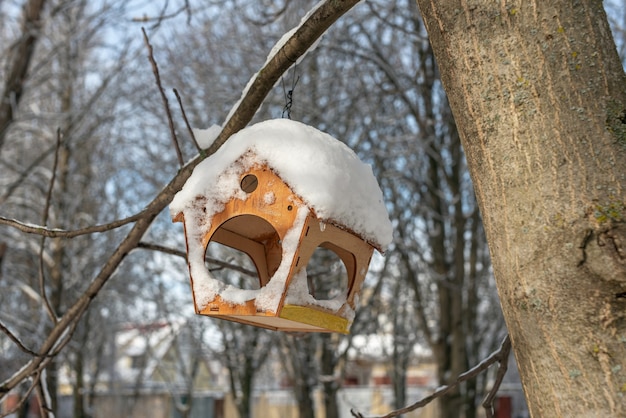 Um alimentador de pássaros de madeira bonito pendurado em uma árvore no parque de inverno. Ajudar amigos aviários na estação fria. Cuidado com o meio ambiente.